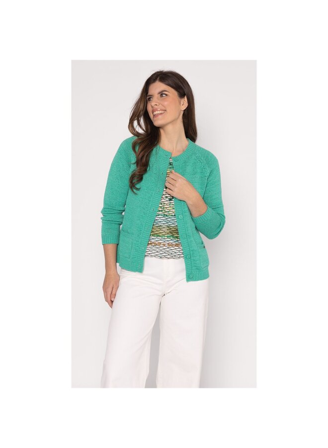 Roberto Sarto Vest Groen 611130