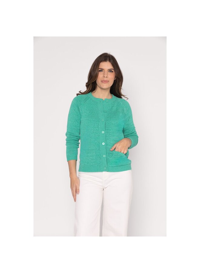 Roberto Sarto Vest Groen 611130