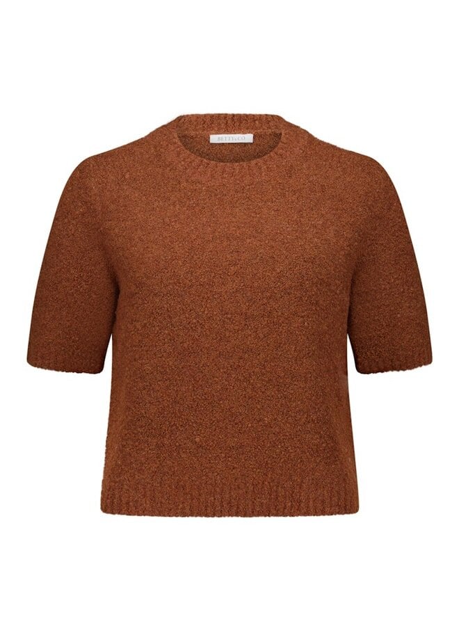 Betty & Co Pullover Bruin 5980-3271