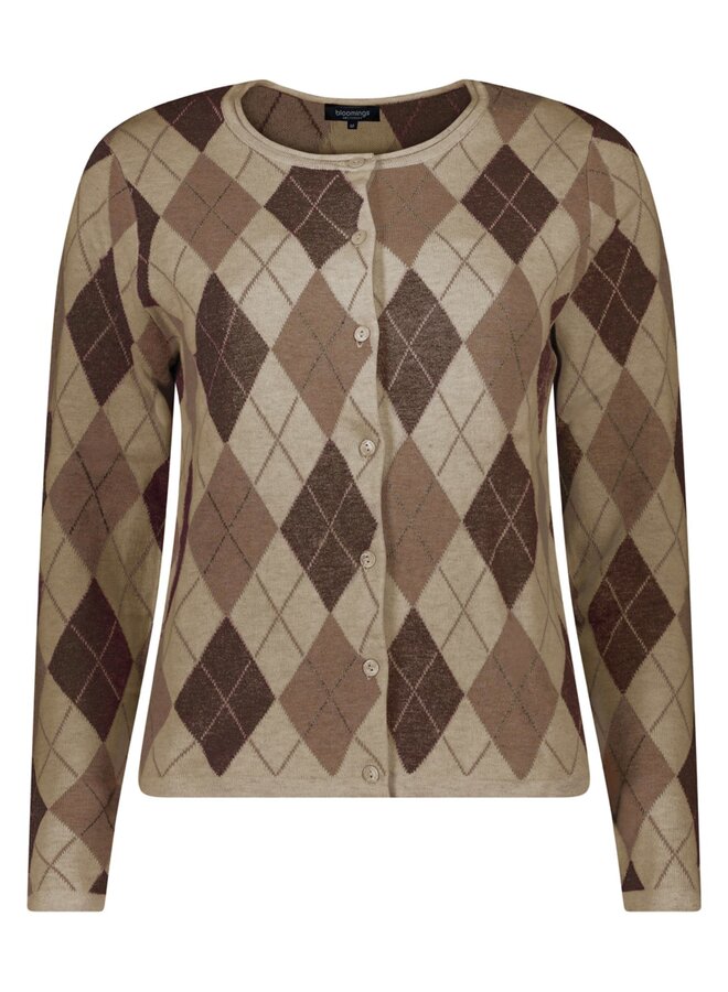 Bloomings Amsterdam Vest Bruin SLK20-9144