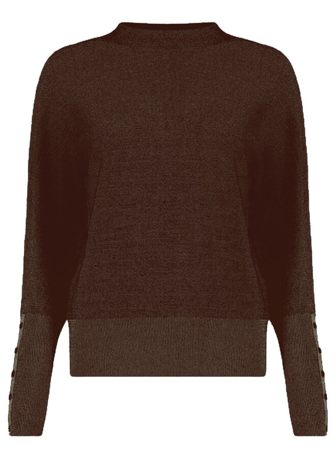 Bloomings Amsterdam Pullover Bruin SLK20-9039