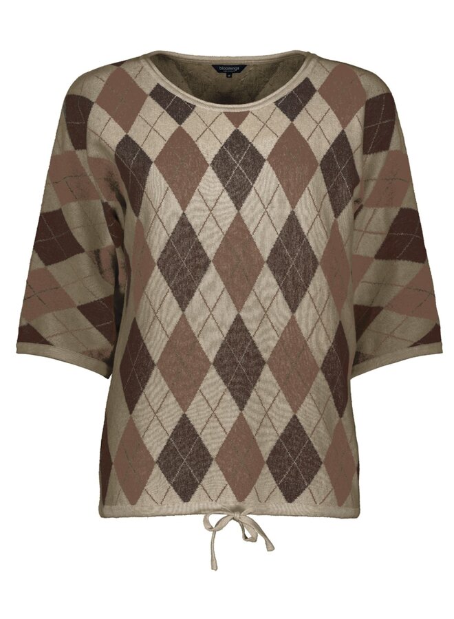 Bloomings Amsterdam Pullover Bruin SLK20-9041