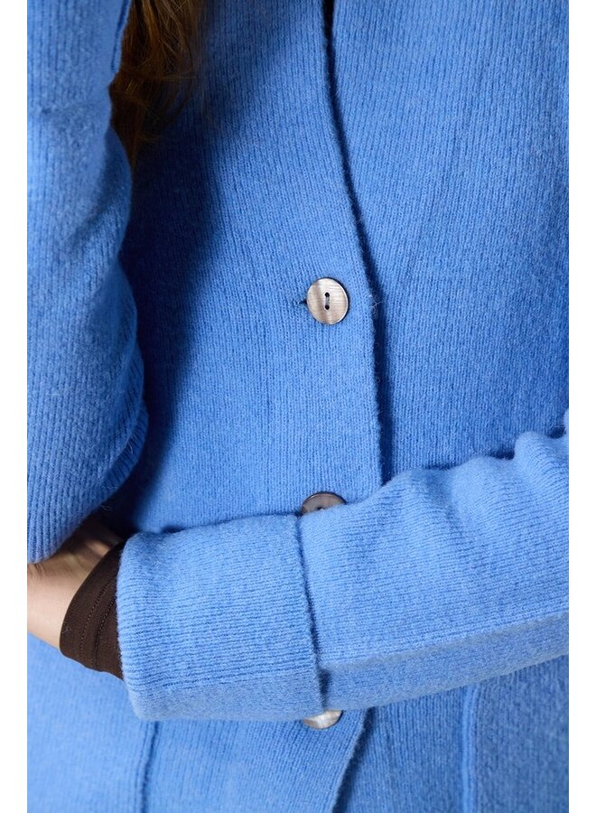 Label Dot Vest Blue Neriah