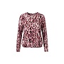 Roberto Sarto Shirt Bourgogne 631104
