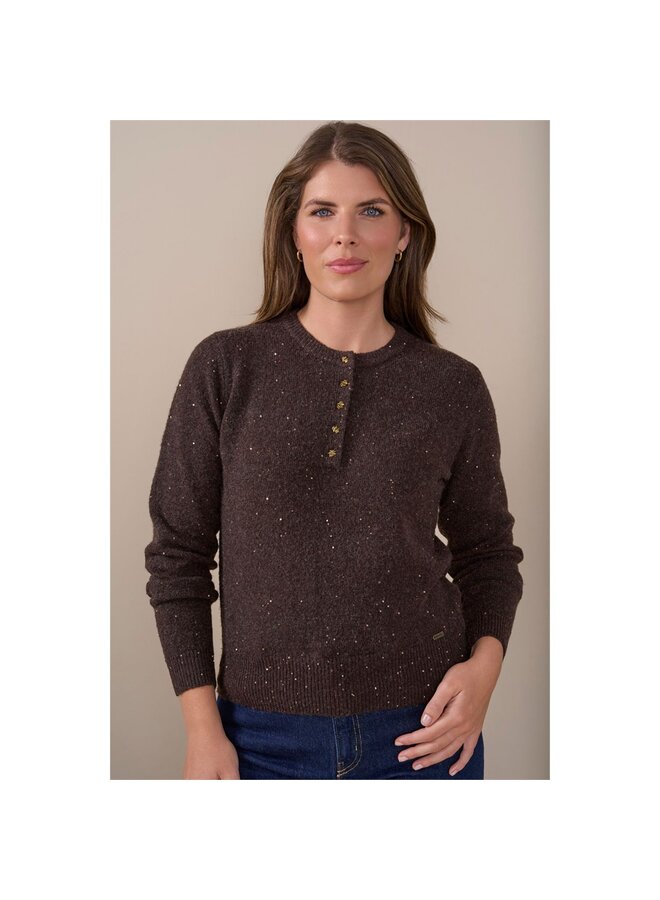 Roberto Sarto Pullover Bruin 631119