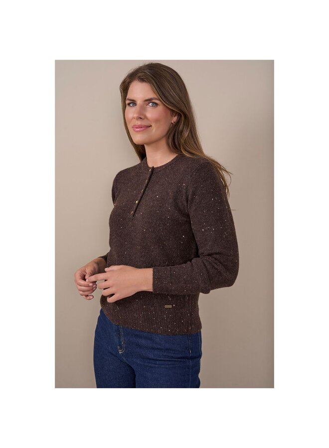 Roberto Sarto Pullover Bruin 631119