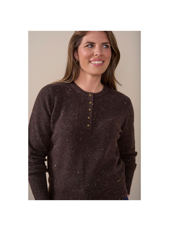 Roberto Sarto Pullover Bruin 631119