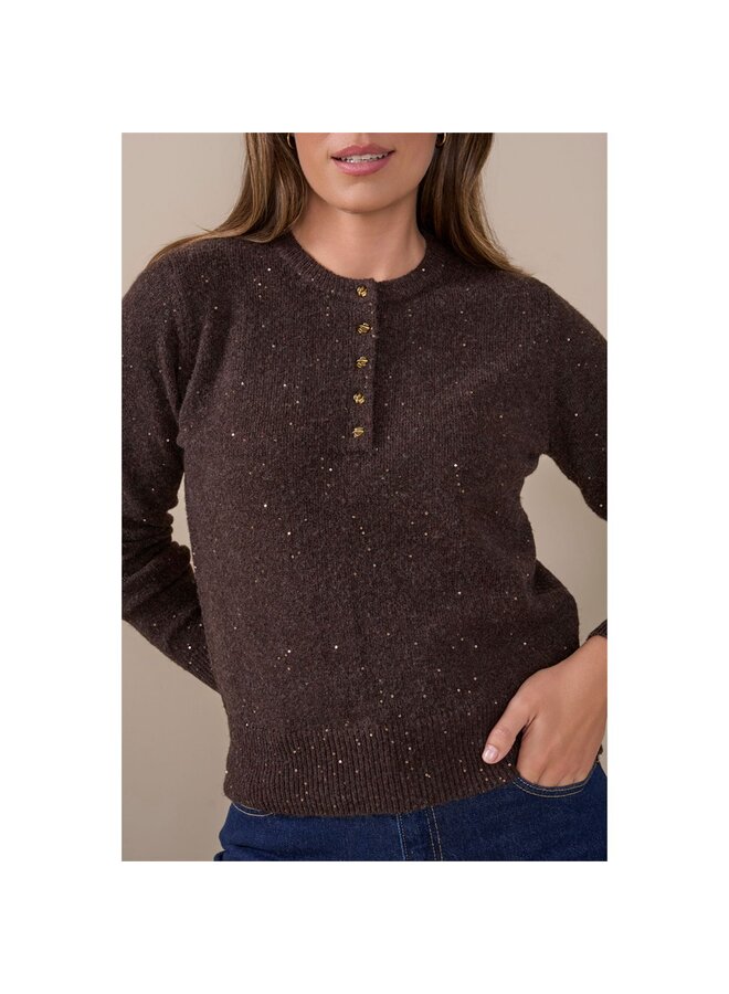 Roberto Sarto Pullover Bruin 631119