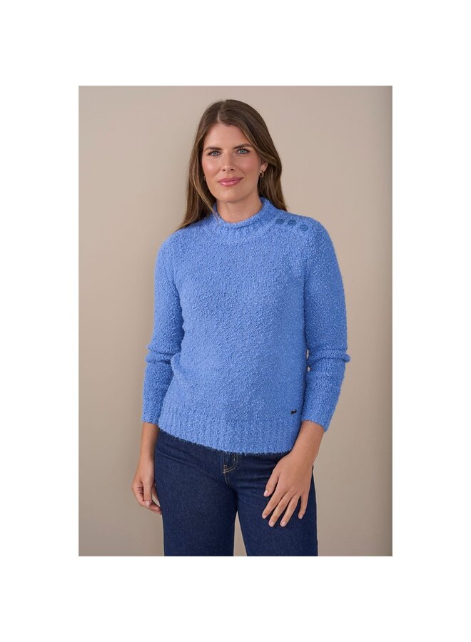 Roberto Sarto Pullover Blauw 631087
