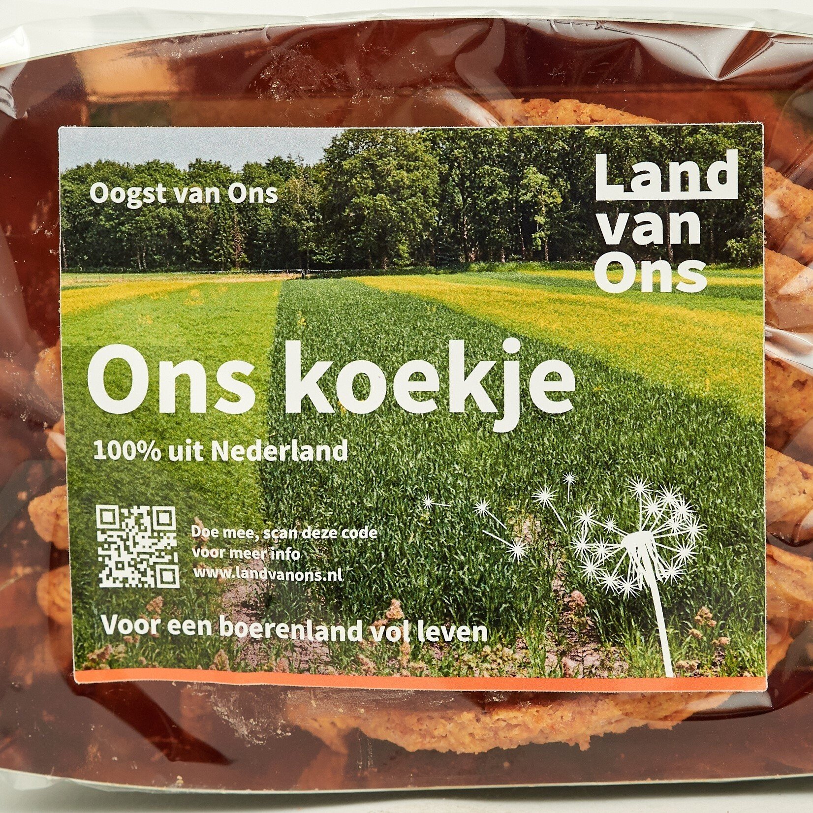 Ons koekje