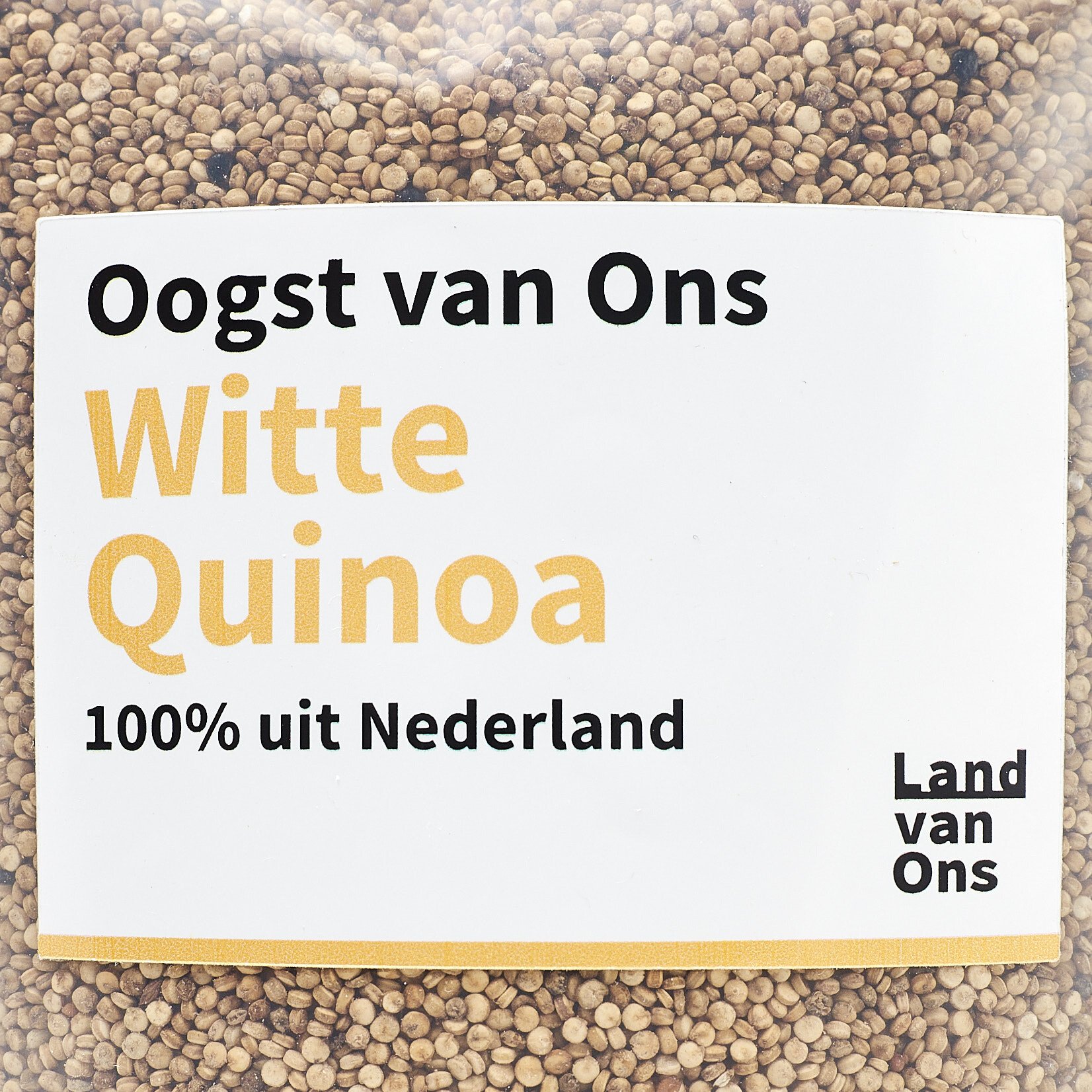 Quinoa