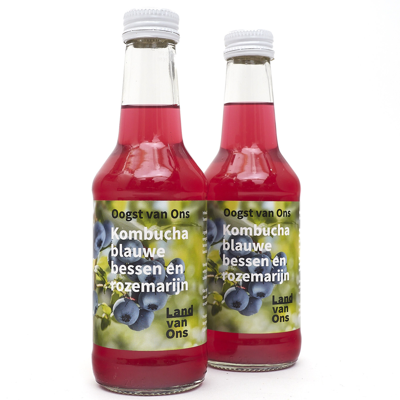Kombucha in twee heerlijke smaken
