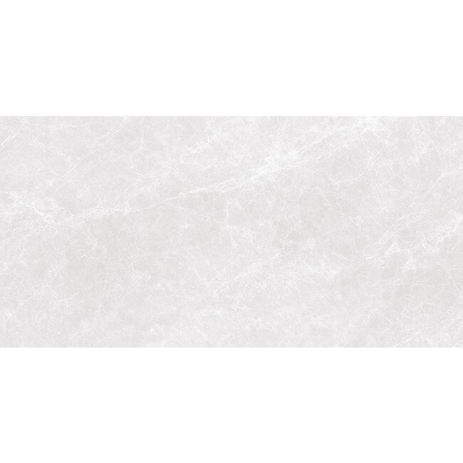 Capitolina Vloer- en Wandtegel - 60x120 cm - Ash