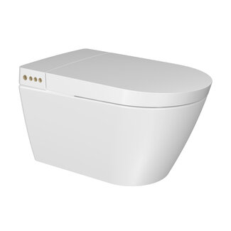 Randloos Smart Douche-WC met Verborgen Bevestiging – Verwarmde Zitting, Föhn & Afstandsbediening – Glans Wit