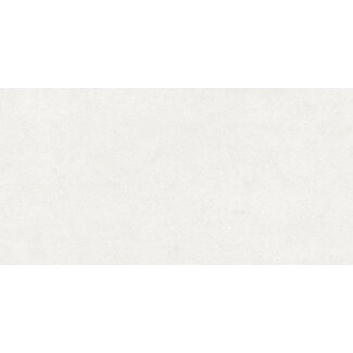 Atrio Light mat vloer- en wandtegel 60x120 cm