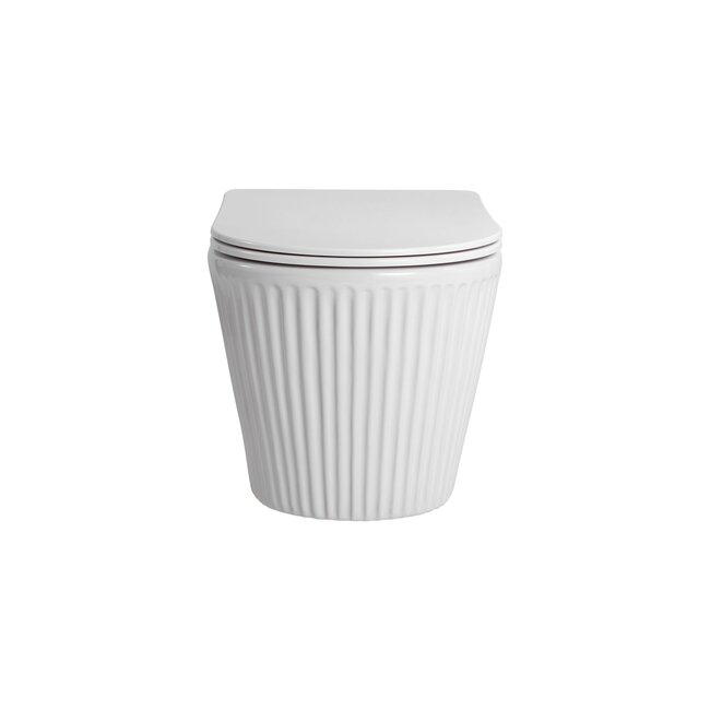 Hangtoilet met ribbel 36,5x52x34,6cm inc zitting met softclose - Glans Wit
