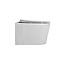 Hangtoilet Geribbeld met Soft-close Zitting - 36,5 x 52 x 34,6 cm - Glans wit