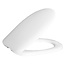 Hangtoilet met Toiletzitting – Wit – Soft-Close & Inox Scharnieren