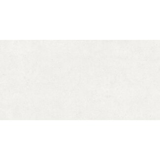 Atrio vloer- en wandtegel 60x120 cm Light mat antislip R11
