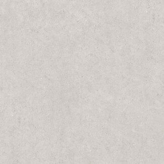 Atrio Light Grey mat antislip R11 vloer- en wandtegel 120x120 cm