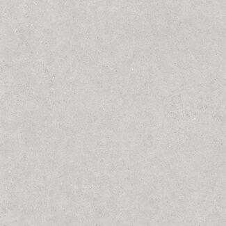 Atrio vloer- en wandtegel 90x90 cm Light Grey mat