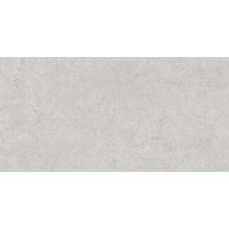 Atrio vloer- en wandtegel 60x120 cm Light Grey mat