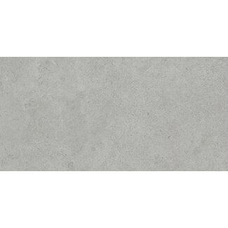 Atrio Light Grey mat antislip R11 vloer- en wandtegel 30x60 cm