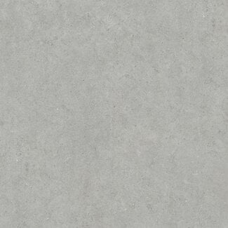 Atrio vloer- en wandtegel 120x120 cm Grey mat