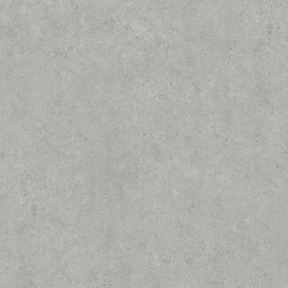 Atrio vloer- en wandtegel 120x120 cm Grey mat antislip R11