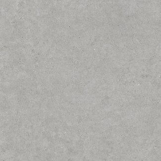 Atrio vloer- en wandtegel 90x90 cm Grey mat