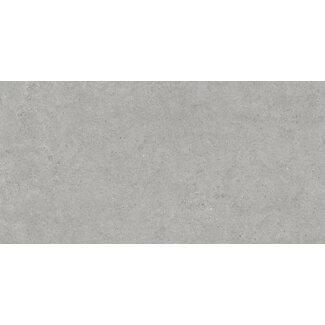 Atrio vloer- en wandtegel 60x120 cm Grey mat antislip R11