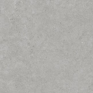 Atrio vloer- en wandtegel 60x60 cm Grey mat