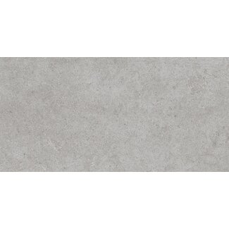 Atrio vloer- en wandtegel 30x60 cm Grey mat antislip R11