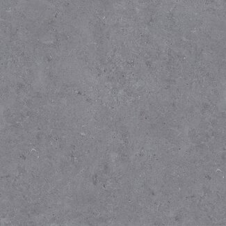 Atrio vloer- en wandtegel 120x120 cm Coal mat