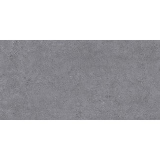 Atrio vloer- en wandtegel 60x120 cm Coal mat