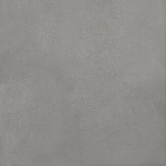 Jazz vloer- en wandtegel 120x120 cm Light Grey mat