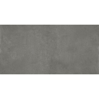Jazz Grey mat vloer- en wandtegel 60x120 cm