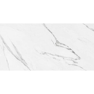 Bolshoi vloer- en wandtegel 60x120 cm Grey glans