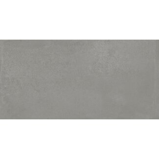 Jazz Light Grey mat vloer- en wandtegel 60x120 cm