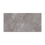 Castano Gris glans vloer- en wandtegel 60x120 cm