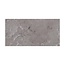 Castano Gris glans vloer- en wandtegel 60x120 cm