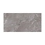 Castano Gris glans vloer- en wandtegel 60x120 cm