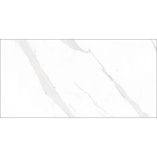 Statuary glans vloer- en wandtegel 60x120 cm