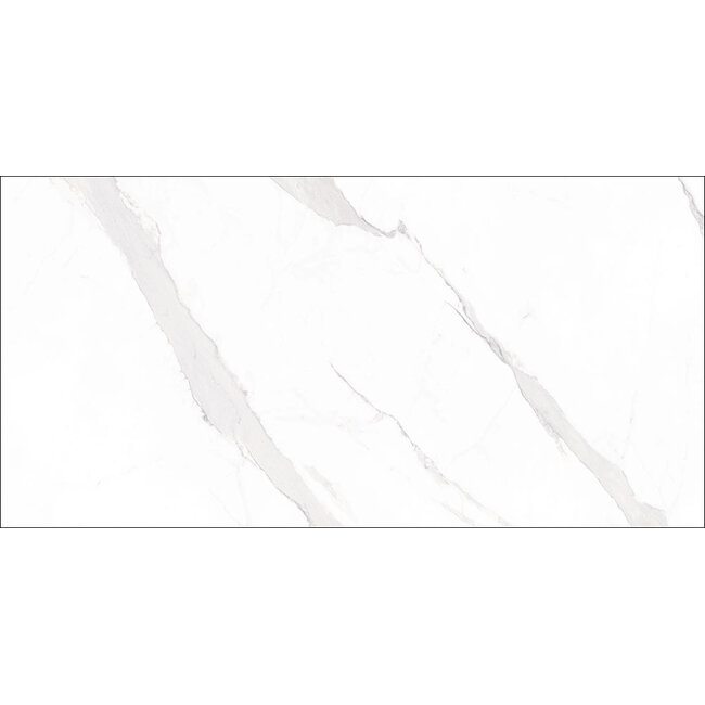 Statuary glans vloer- en wandtegel 60x120 cm