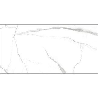 Nilo glans vloer- en wandtegel 60x120 cm