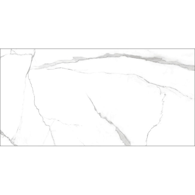 Nilo glans vloer- en wandtegel 60x120 cm