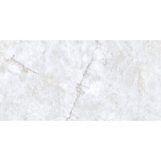 Patagonia glans vloer- en wandtegel 60x120 cm
