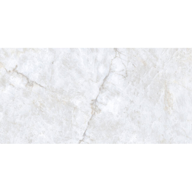 Patagonia glans vloer- en wandtegel 60x120 cm