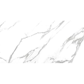 Nilo glans vloer- en wandtegel 60x120 cm