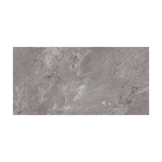 Castano Gris glans vloer- en wandtegel 60x120 cm